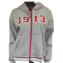 Load image into Gallery viewer, Delta Sigma Theta Zipped Hoodie