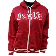 Load image into Gallery viewer, Delta Sigma Theta Zipped Hoodie